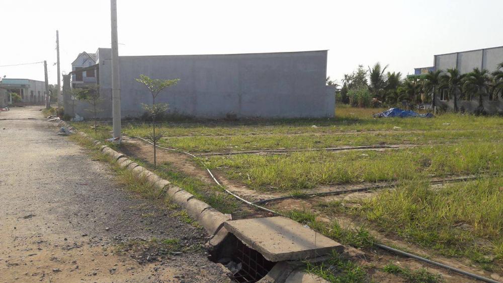 Bất động sản 24h: Nhà đầu tư săn tìm đất nền vùng ven