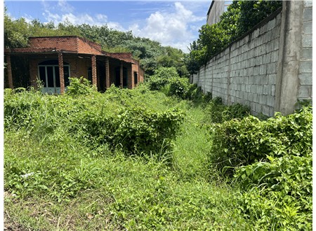 Cần bán 300 m2 đất vườn quy hoạch khu dân cư đường nhựa thông có thổ cư giá 1,5 tỷ còn bớt