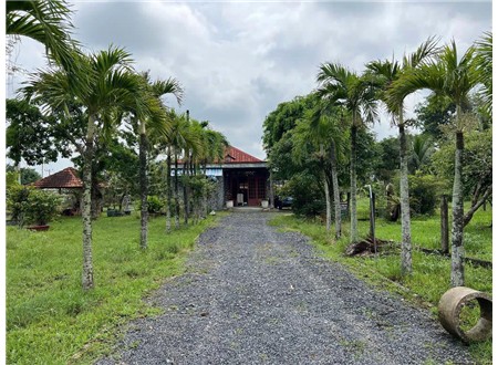 🏡 Bán Nhà Vườn Cực Chill Củ Chi – 4000m², Có Ao Cá, Cây Trái, 2 Mặt Tiền Đẹp Như Mơ!