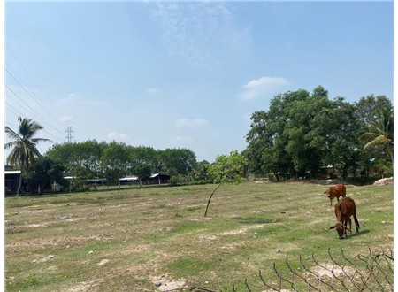 🌳 Bán đất củ chi 3MT đường Nguyễn Thị Rành, Nhuận Đức gần quán bò Hảo Hảo 3.900m2 có 300 TC, 56x65 Đất Nở hậu giá 22.5 tỷ