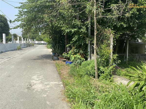 ban-dat-mat-tien-tinh-lo-15-cu-chi.jpg